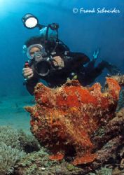 Red frogfish and photographing diver; Sabang beach, shall... by Frank Schneider 